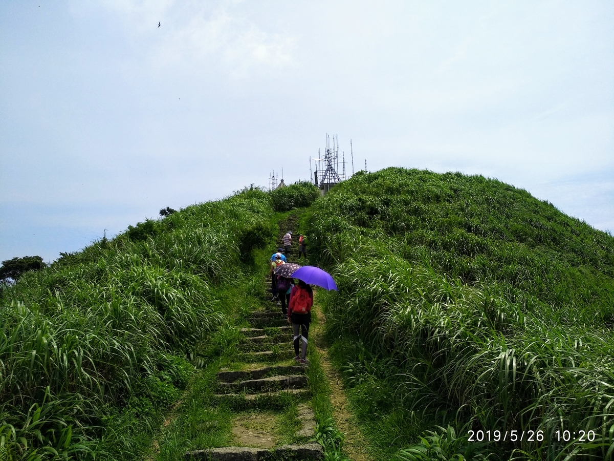 f:id:zhizuchangle:20190528174626j:plain
