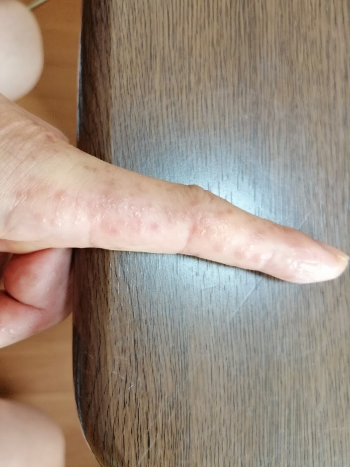 f:id:zhizuchangle:20190729064424j:plain f:id:zhizuchangle:20190729064424j:plain