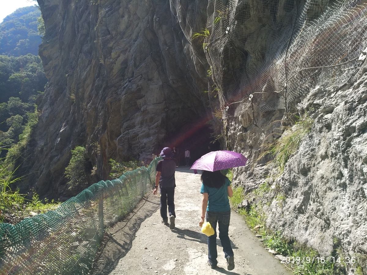 f:id:zhizuchangle:20190919205547j:plain