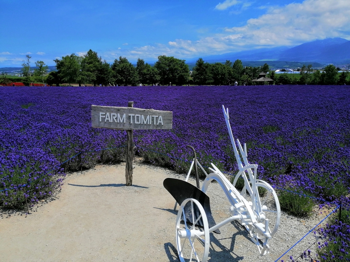 ぜるぶの丘 四季彩の丘 ファーム富田 富良野 おまけの会社員生活 バイトの品格