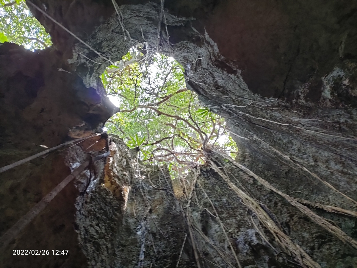 伊良部島 神秘的なヌドクビアブ おまけの会社員生活 ハケンの品格 伊良部島 神秘的なヌドクビアブ おまけの会社員生活 ハケンの品格