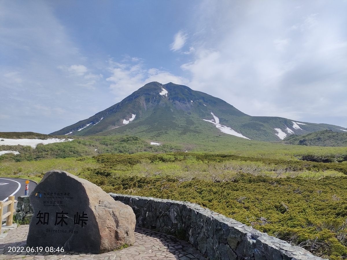 ➊下北半島産　天然　赤松ぼっくり　採りたて　2000g以上 DSC07952_720x.jpg?v=1679058388