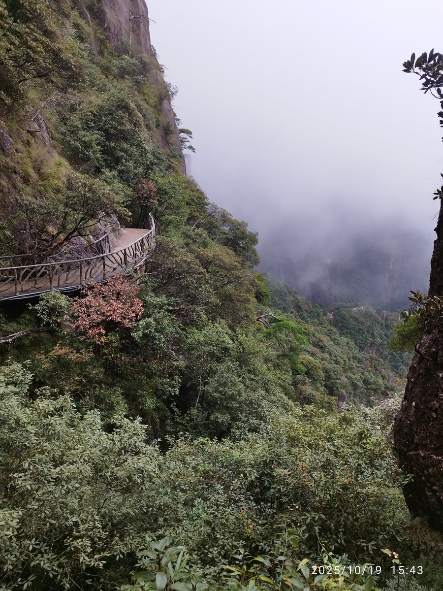 世界遺産 三清山 霧だらけで何も見えず😭 - おまけの会社員生活