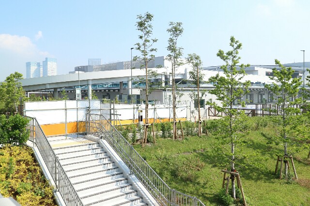 f:id:zhongdanhai:20170614174326j:image f:id:zhongdanhai:20170614174326j:image