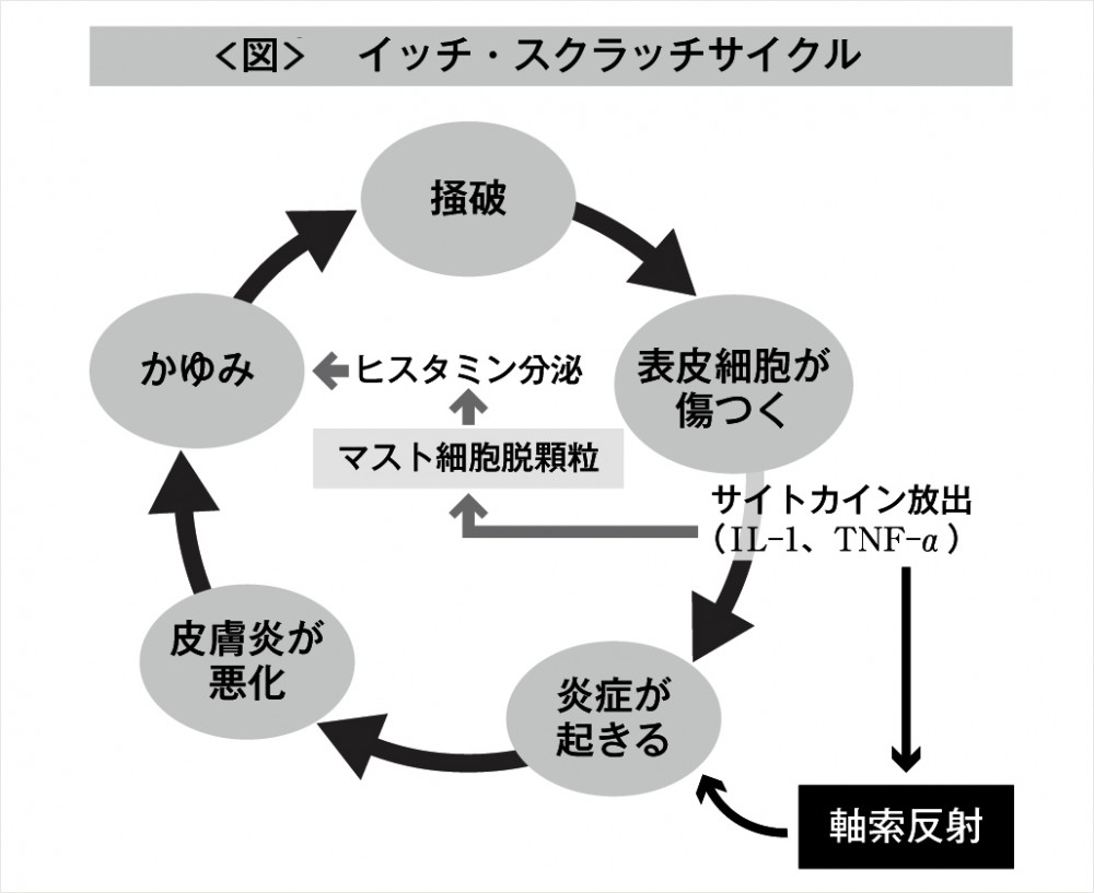 f:id:zhubenwako:20190731223616j:plain