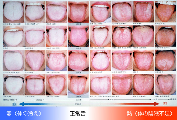f:id:zhubenwako:20200419235537j:plain