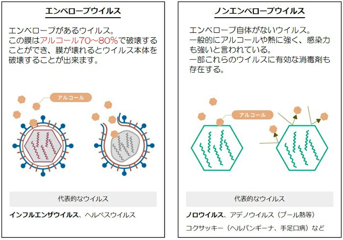 f:id:zhubenwako:20210705170836j:plain