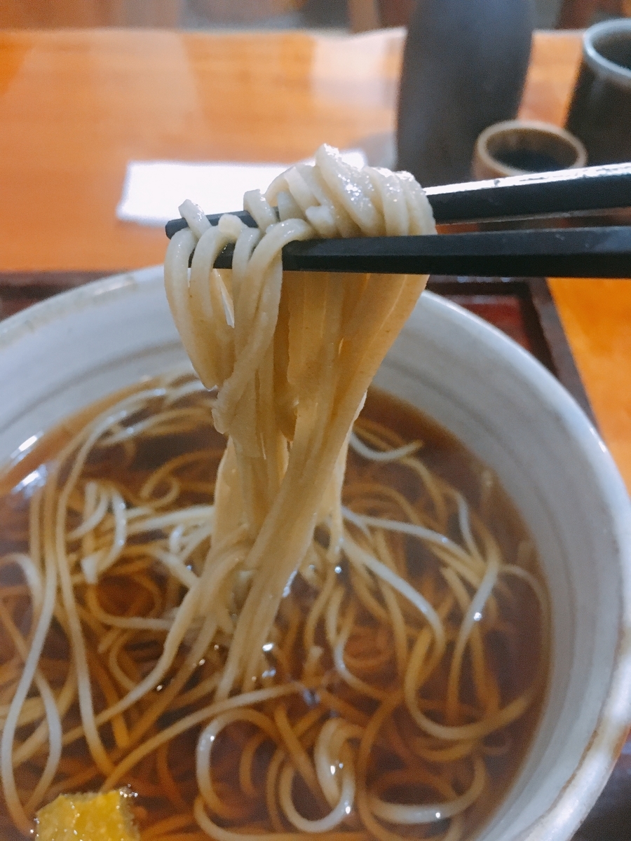 f:id:zi0-saito:20201130195129j:plain