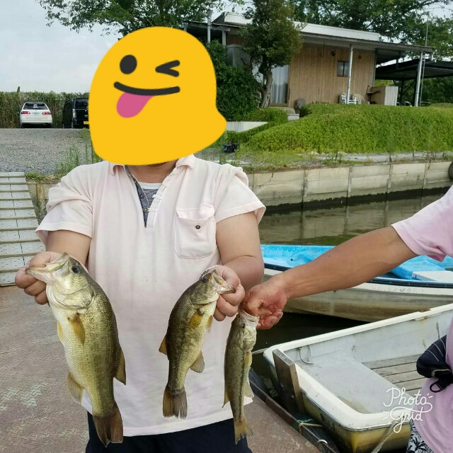 f:id:zig-hiroking:20170809124036j:image f:id:zig-hiroking:20170809124036j:image