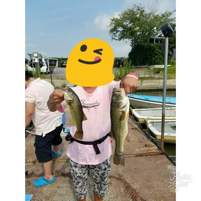 f:id:zig-hiroking:20170809124131j:image f:id:zig-hiroking:20170809124131j:image
