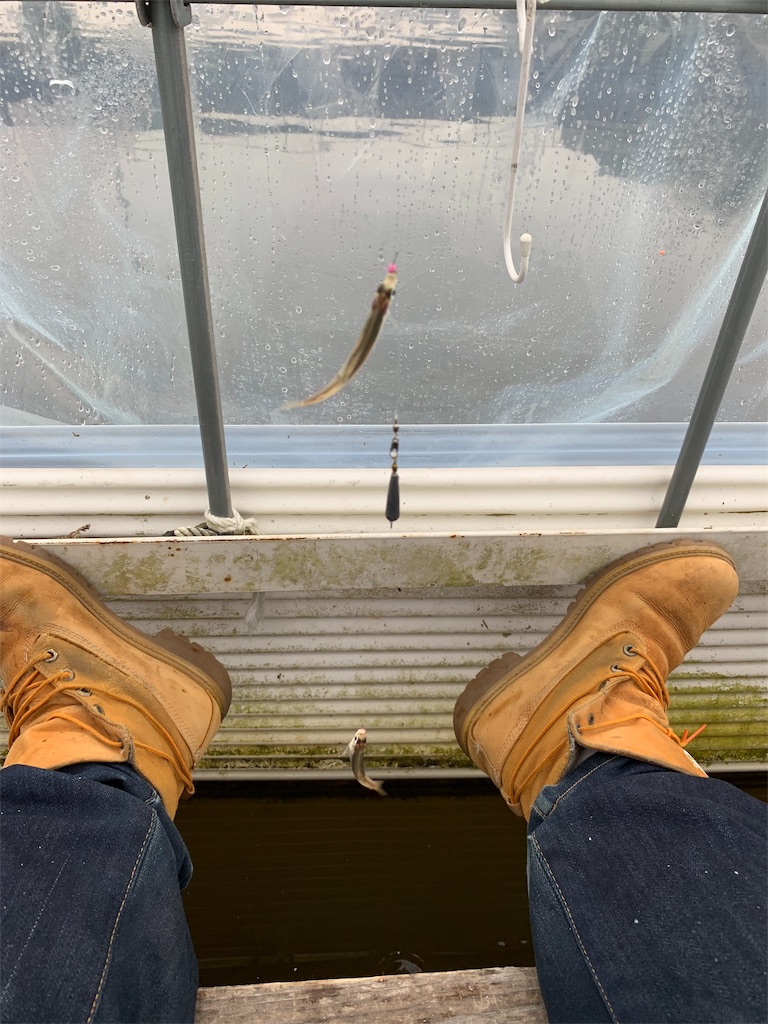 f:id:zig-hiroking:20190202190003j:image f:id:zig-hiroking:20190202190003j:image