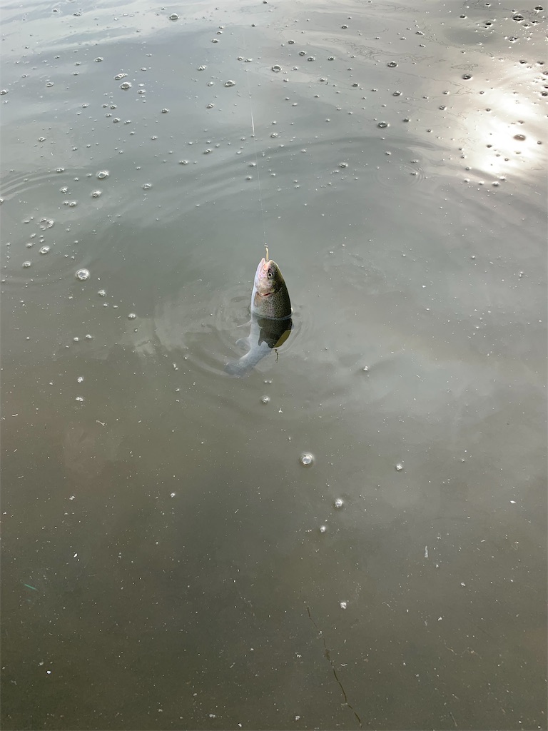 f:id:zig-hiroking:20190209181126j:image f:id:zig-hiroking:20190209181126j:image