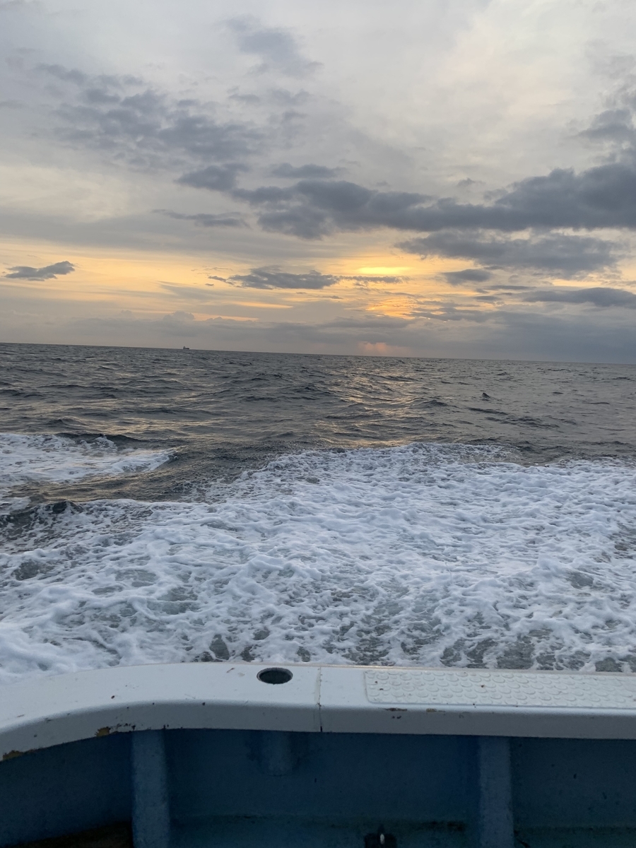 f:id:zig-hiroking:20190512171709j:plain f:id:zig-hiroking:20190512171709j:plain