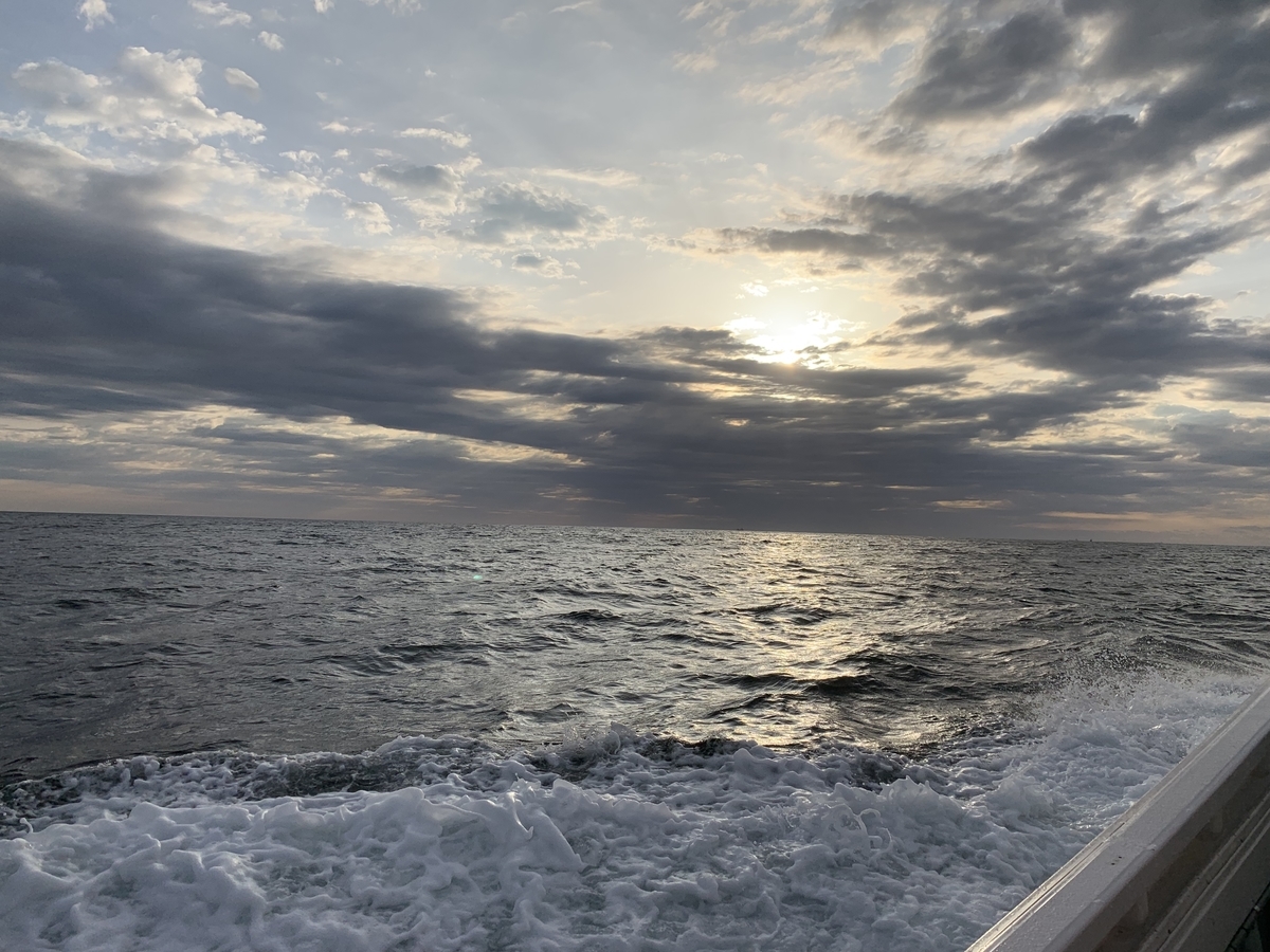 f:id:zig-hiroking:20190604125546j:plain f:id:zig-hiroking:20190604125546j:plain