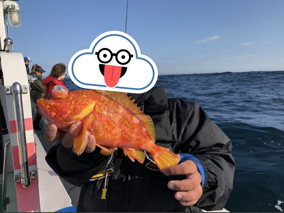 f:id:zig-hiroking:20190607185619p:plain f:id:zig-hiroking:20190607185619p:plain
