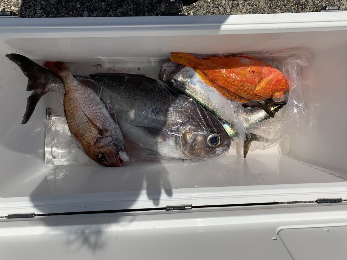 f:id:zig-hiroking:20190610125423j:plain f:id:zig-hiroking:20190610125423j:plain