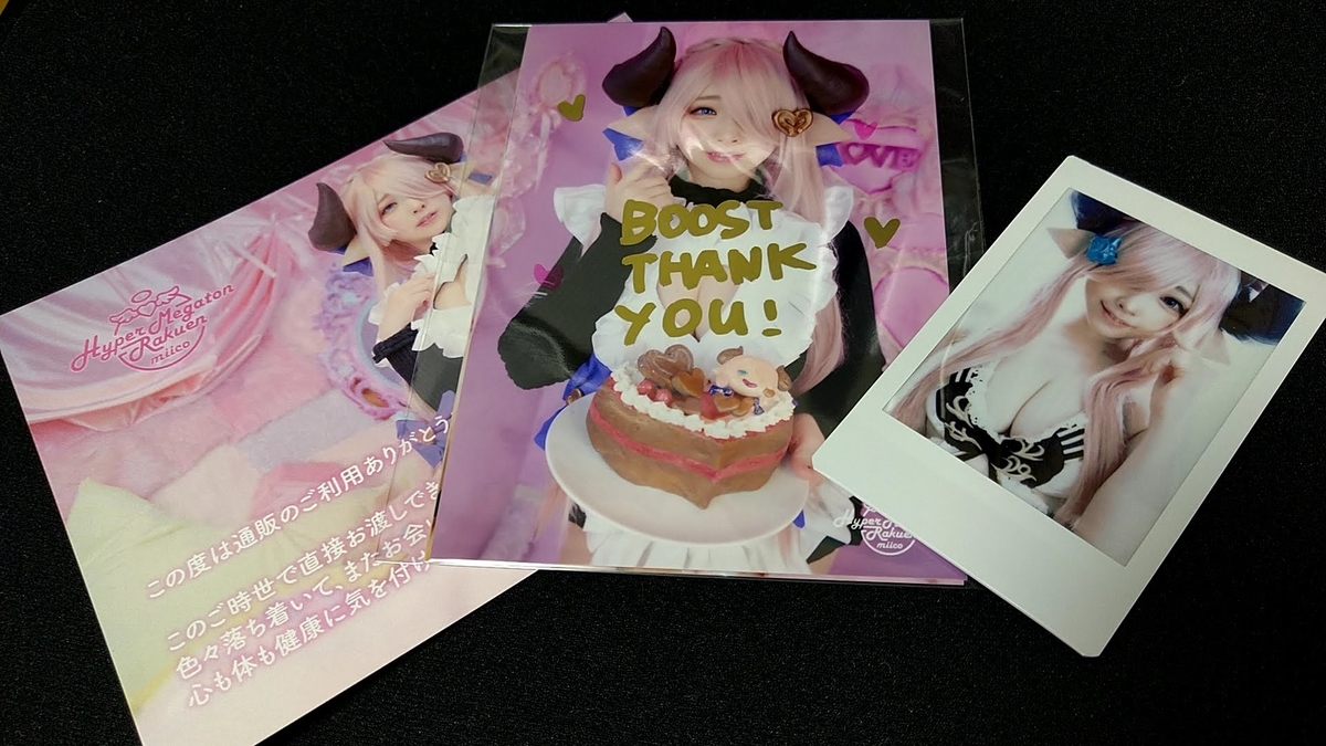 みぃこさんの新刊 バレンタインナルメア写真集が届きました