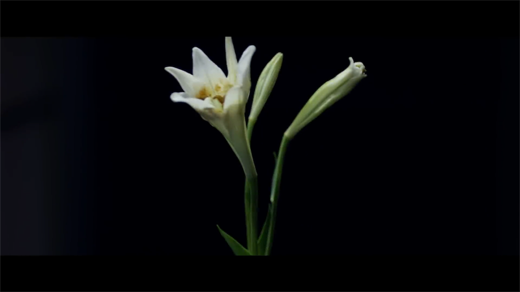 f:id:zigxzag:20180812163729p:image f:id:zigxzag:20180812163729p:image
