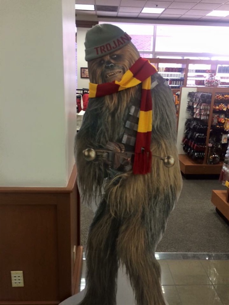 f:id:zigzagmaki:20181121020951j:image f:id:zigzagmaki:20181121020951j:image