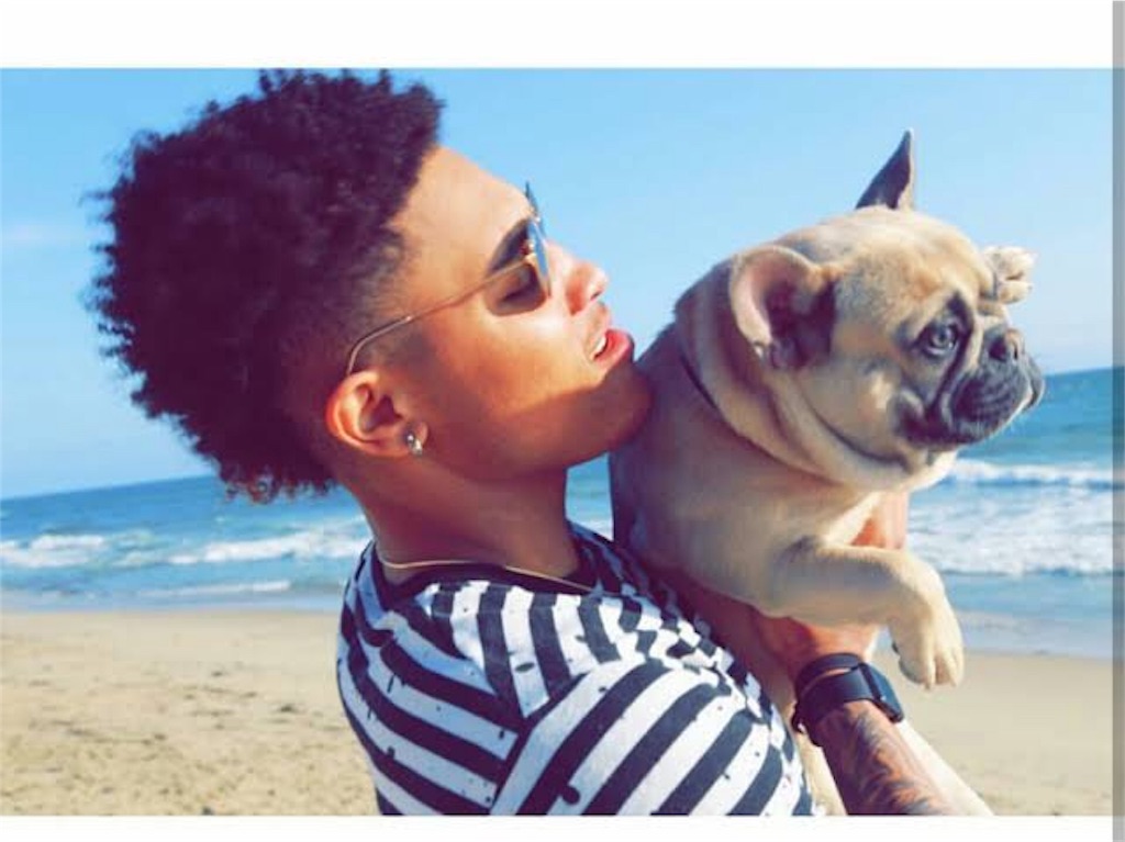 f:id:zigzagmaki:20181218020910j:image