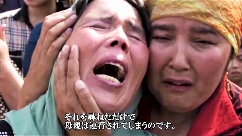 イメージ 1