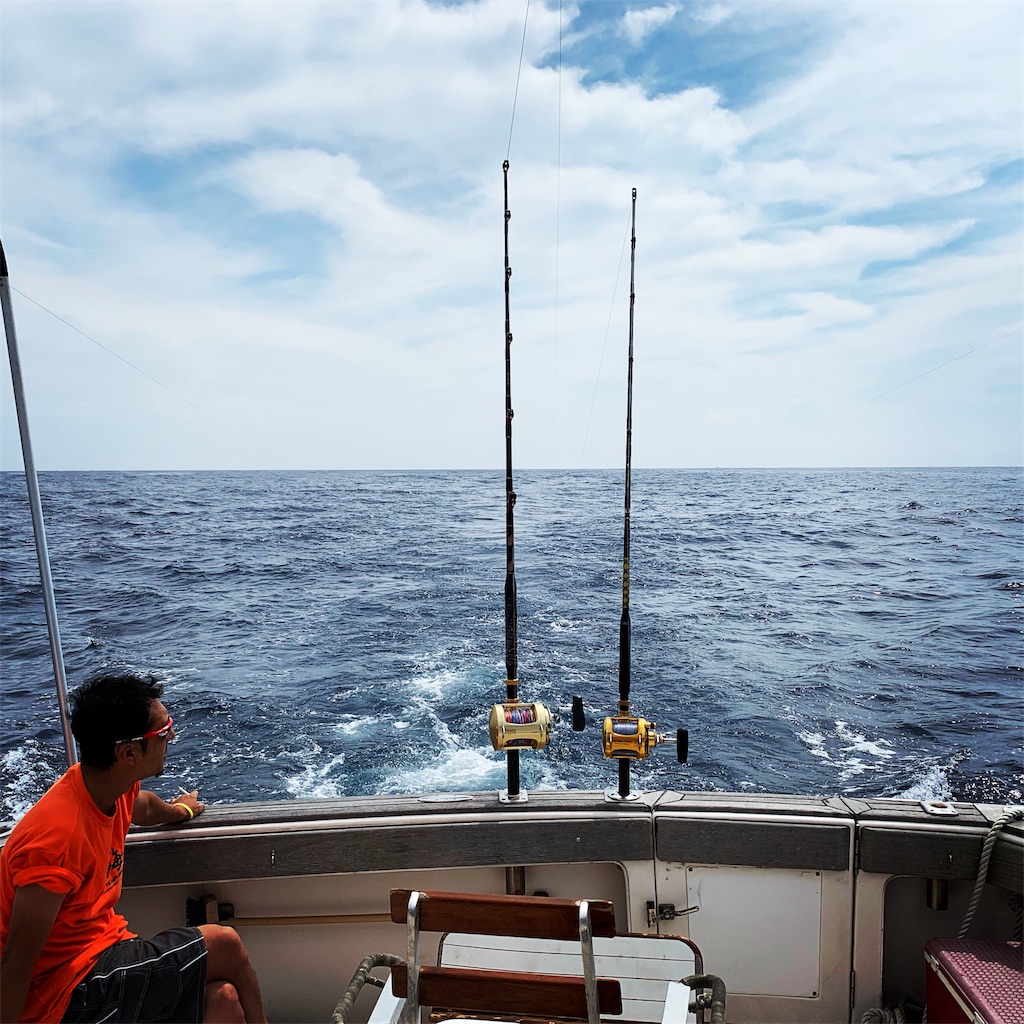 f:id:zima-gene:20190825163421j:image