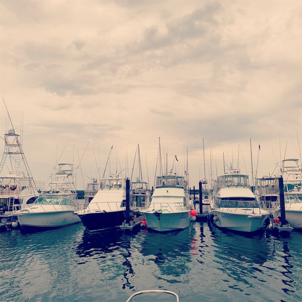 f:id:zima-gene:20190825163429j:image