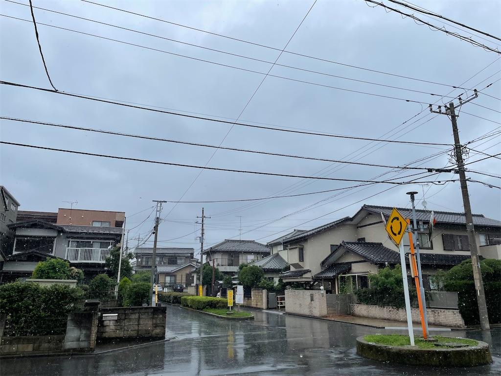 f:id:zima-gene:20210705122641j:image f:id:zima-gene:20210705122641j:image