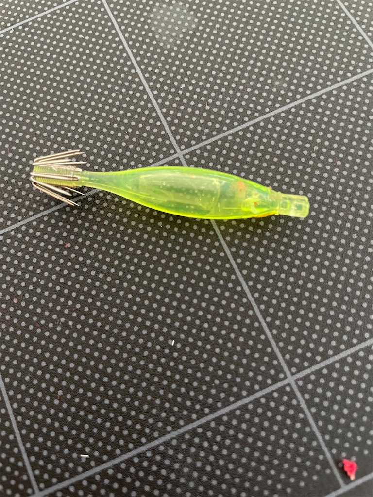 f:id:zima-gene:20210801180432j:image f:id:zima-gene:20210801180432j:image