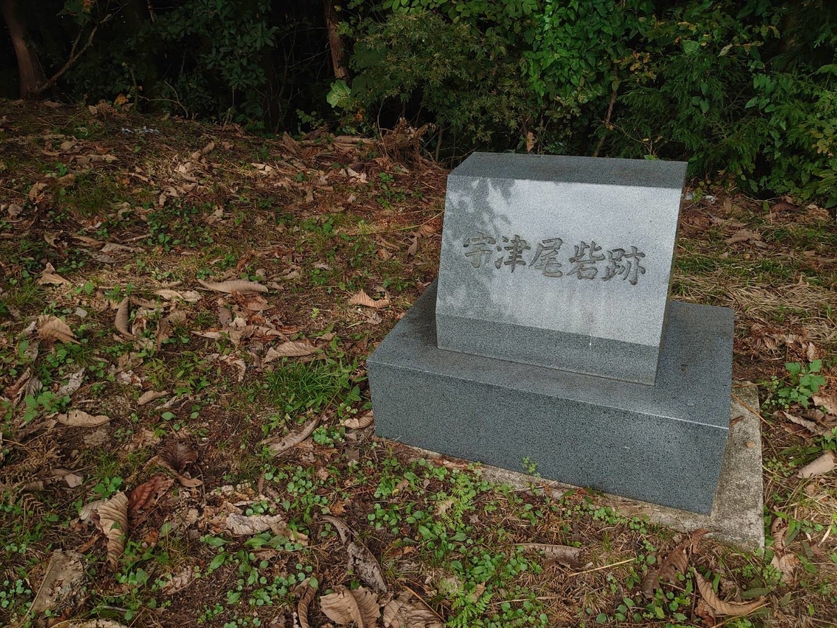 f:id:zimoshiru-joetsu:20201010235702j:plain