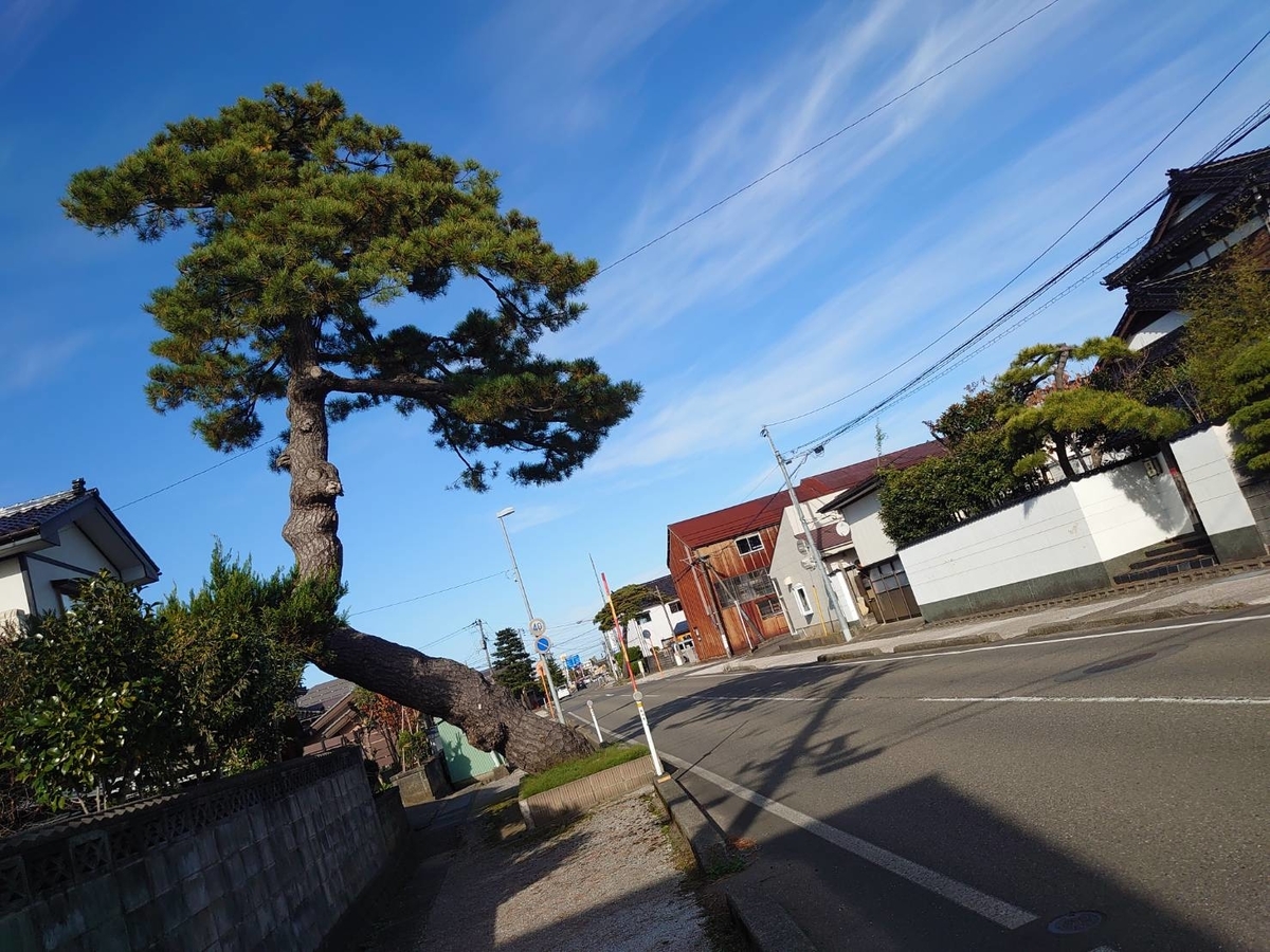 f:id:zimoshiru-joetsu:20201123204322j:plain