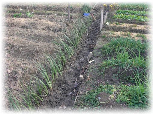 f:id:zinenfarm:20130110223040j:image