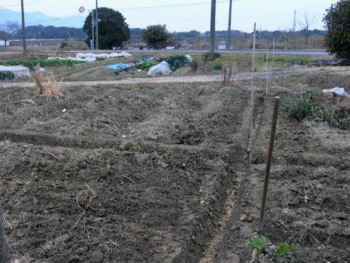 f:id:zinenfarm:20130113222456j:image