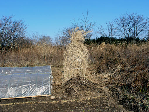 f:id:zinenfarm:20130116231604j:image