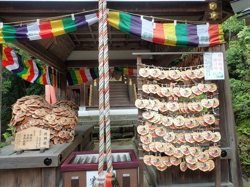 イメージ 14