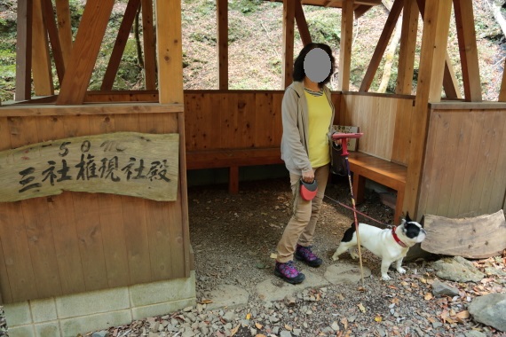 イメージ 18