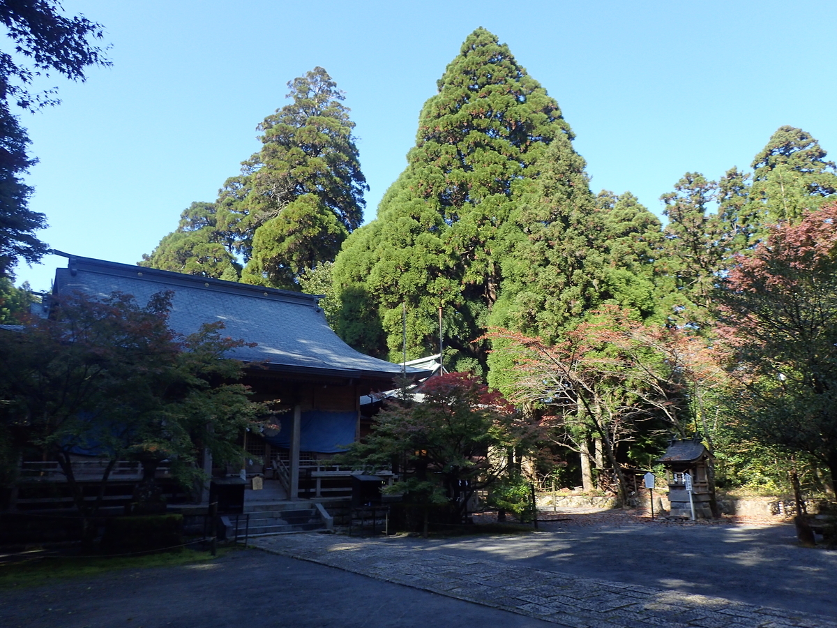f:id:zinsei-syumi:20191116203358j:plain f:id:zinsei-syumi:20191116203358j:plain