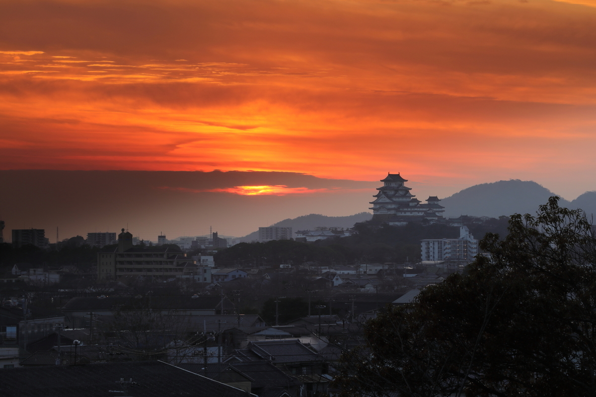 f:id:zinsei-syumi:20191226164824j:plain f:id:zinsei-syumi:20191226164824j:plain