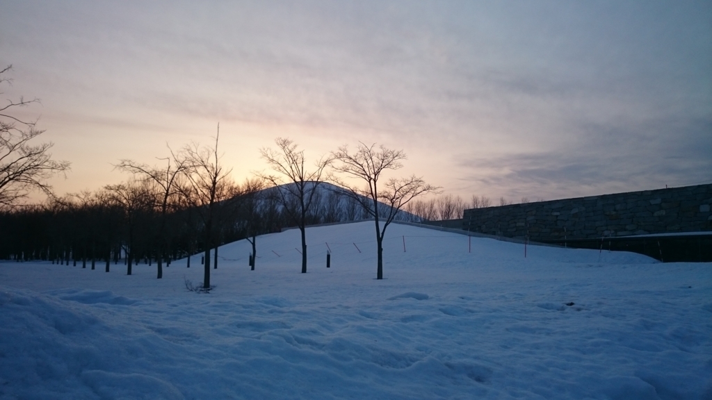 f:id:zinzo:20180319120836j:plain f:id:zinzo:20180319120836j:plain