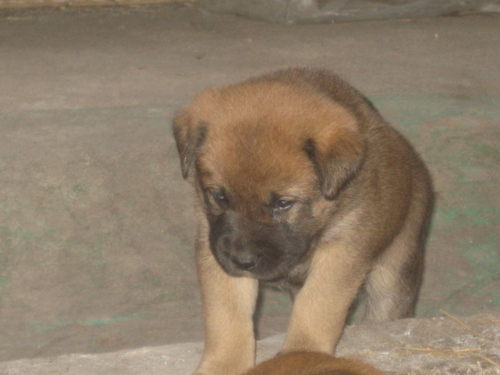 f:id:zion_hamanaka:20090912153850j:image