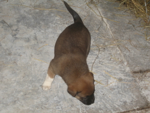 f:id:zion_hamanaka:20090912154012j:image