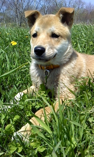 f:id:zion_hamanaka:20100531120147j:image