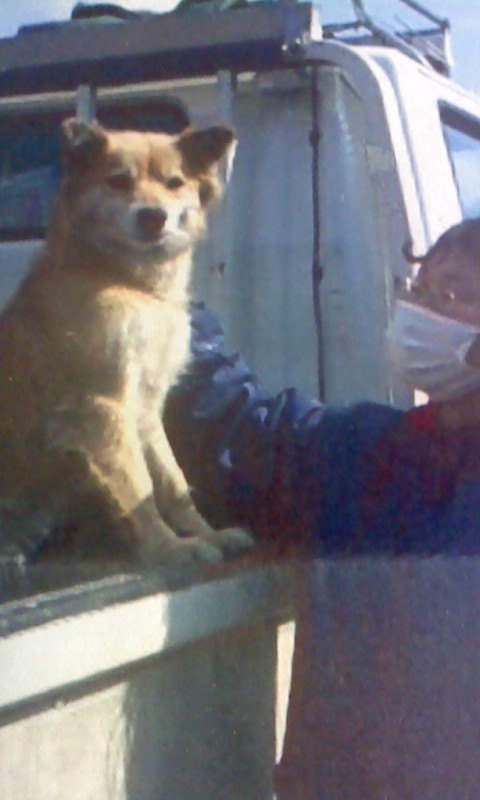 f:id:zion_hamanaka:20110514215247j:image