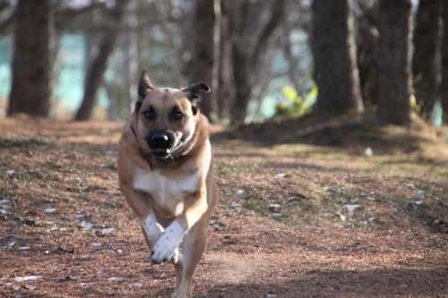 f:id:zion_hamanaka:20111221134222j:image f:id:zion_hamanaka:20111221134222j:image