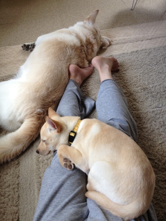 f:id:zion_hamanaka:20120515230643j:image