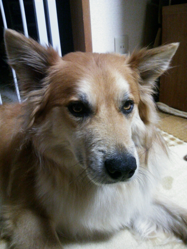 f:id:zion_hamanaka:20120521232558j:image