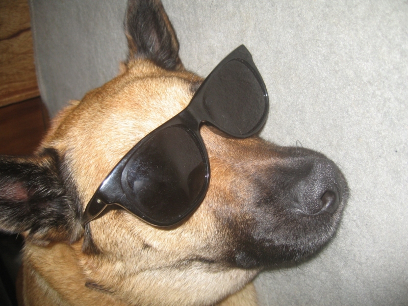 f:id:zion_hamanaka:20120621212804j:image