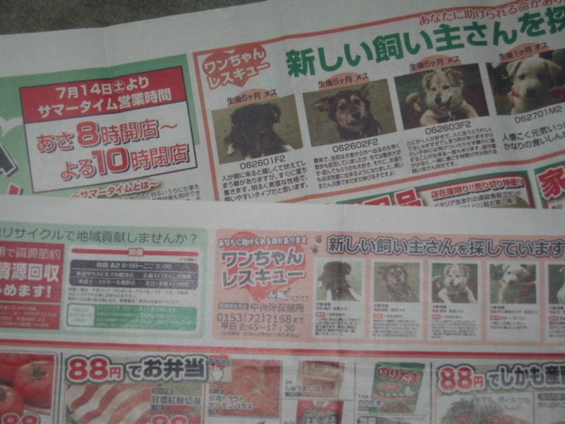 f:id:zion_hamanaka:20120710175135j:image