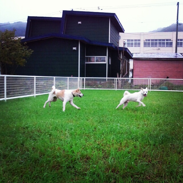 f:id:zion_hamanaka:20120929201237j:image