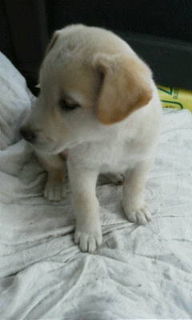 f:id:zion_hamanaka:20121022153903j:image